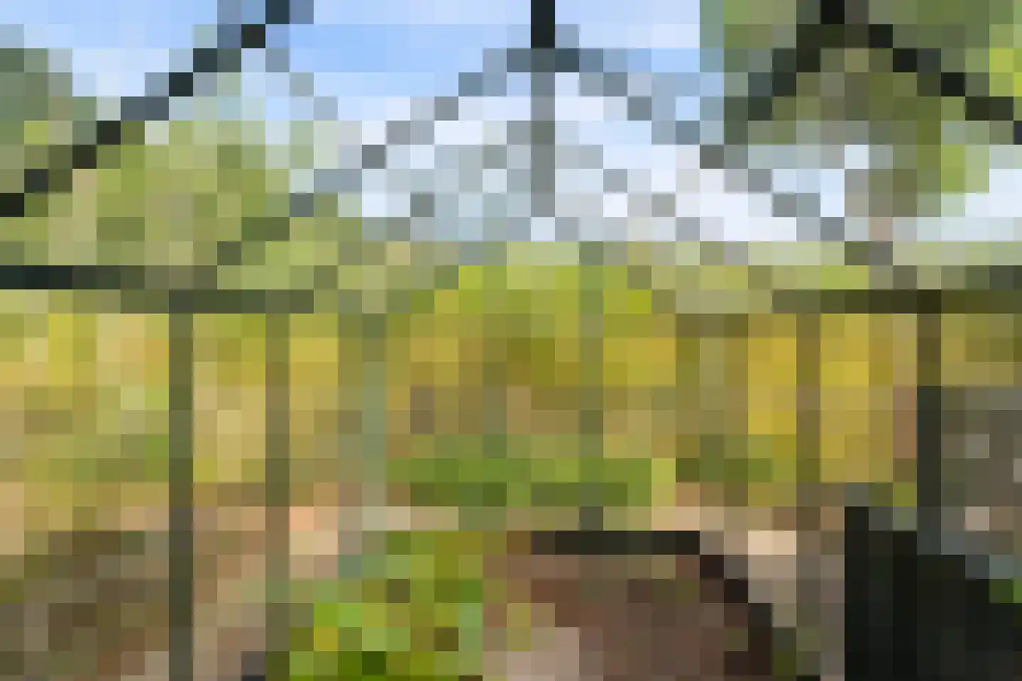 Oldenkotseweg 4 Rekken thumbnail 56