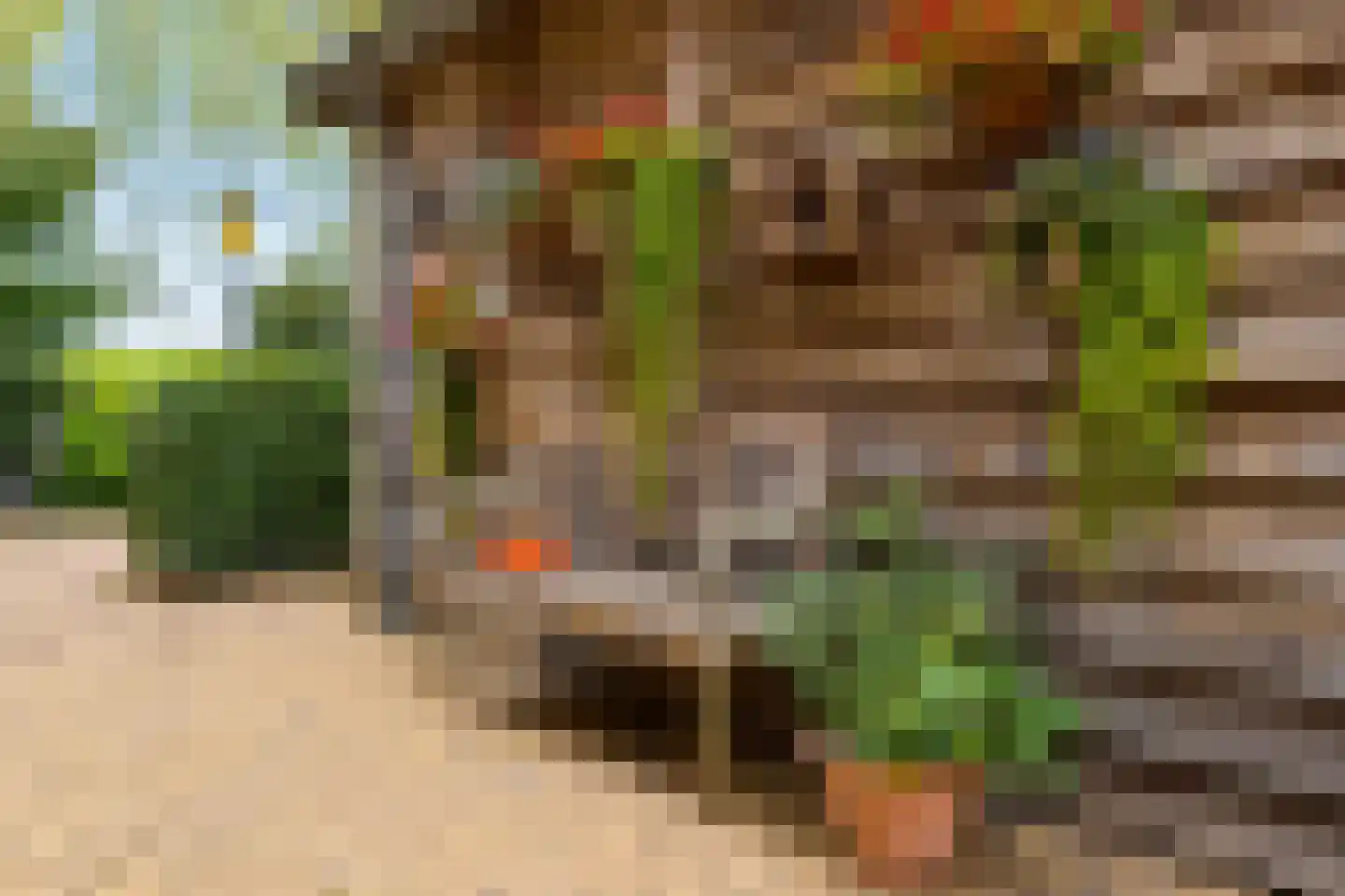 Oldenkotseweg 4 Rekken thumbnail 57