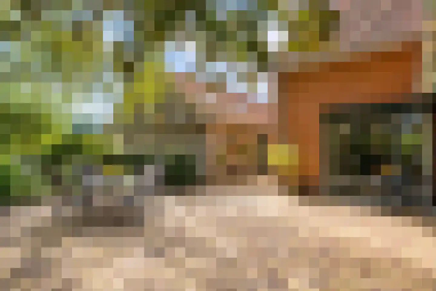 Oldenkotseweg 4 Rekken thumbnail 80