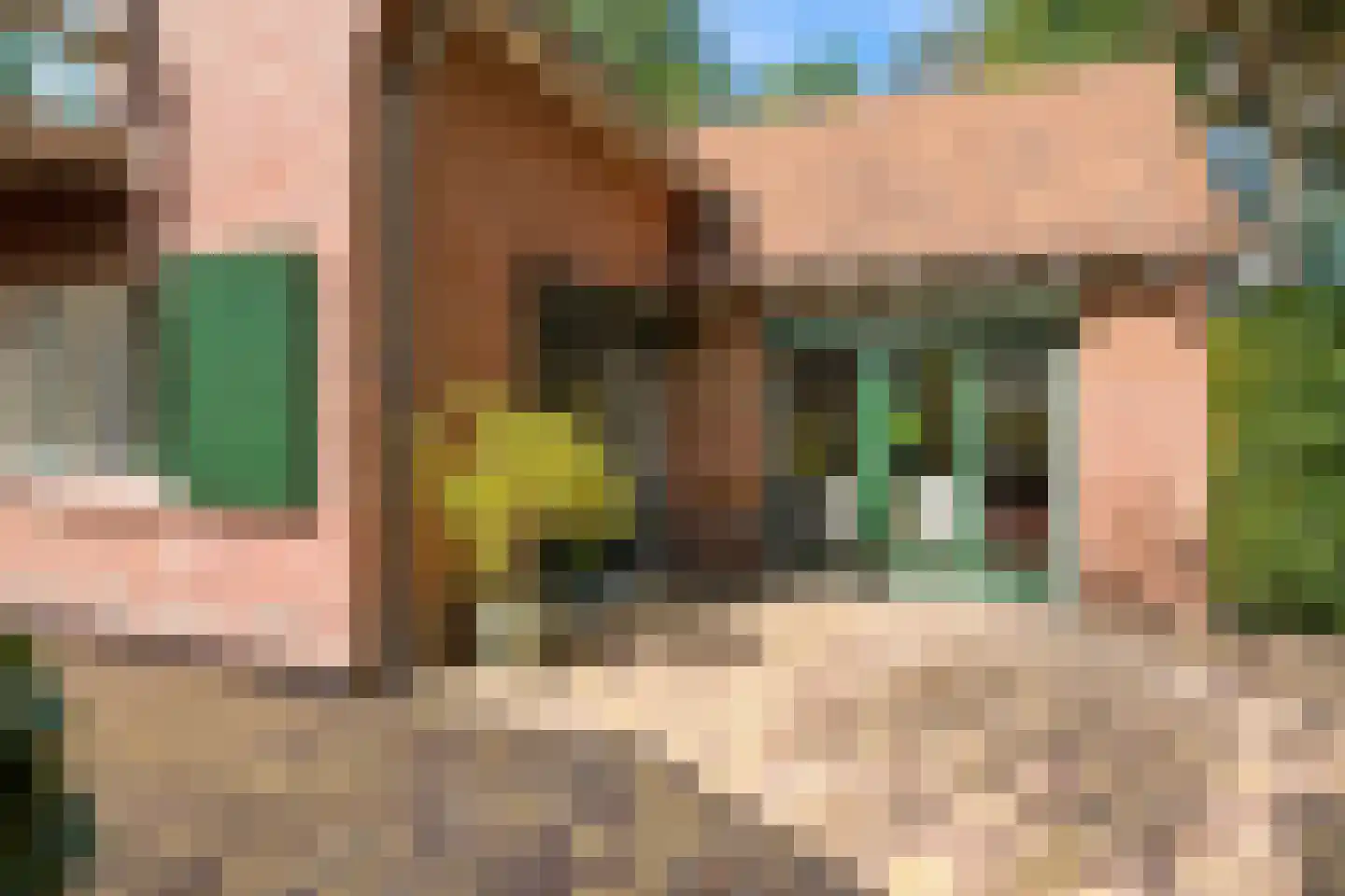 Oldenkotseweg 4 Rekken thumbnail 81