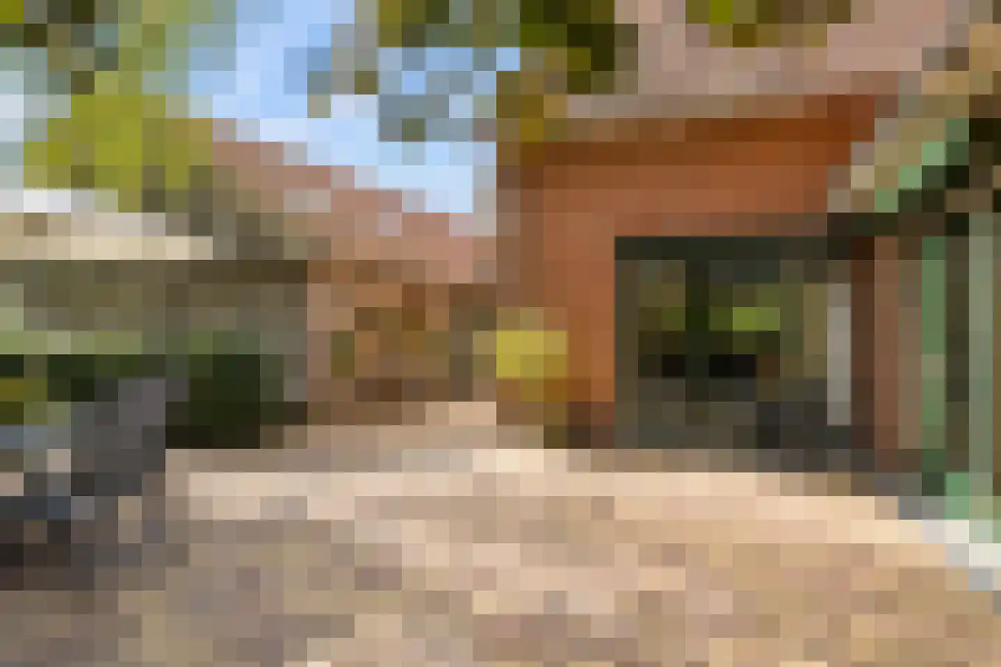 Oldenkotseweg 4 Rekken thumbnail 82