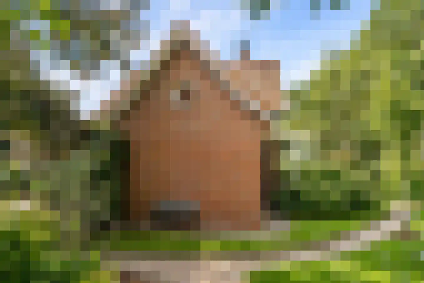 Oldenkotseweg 4 Rekken thumbnail 83