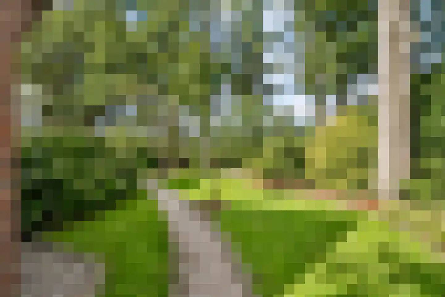 Oldenkotseweg 4 Rekken thumbnail 84