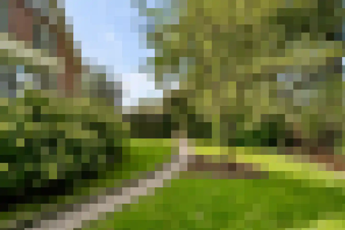 Oldenkotseweg 4 Rekken thumbnail 86