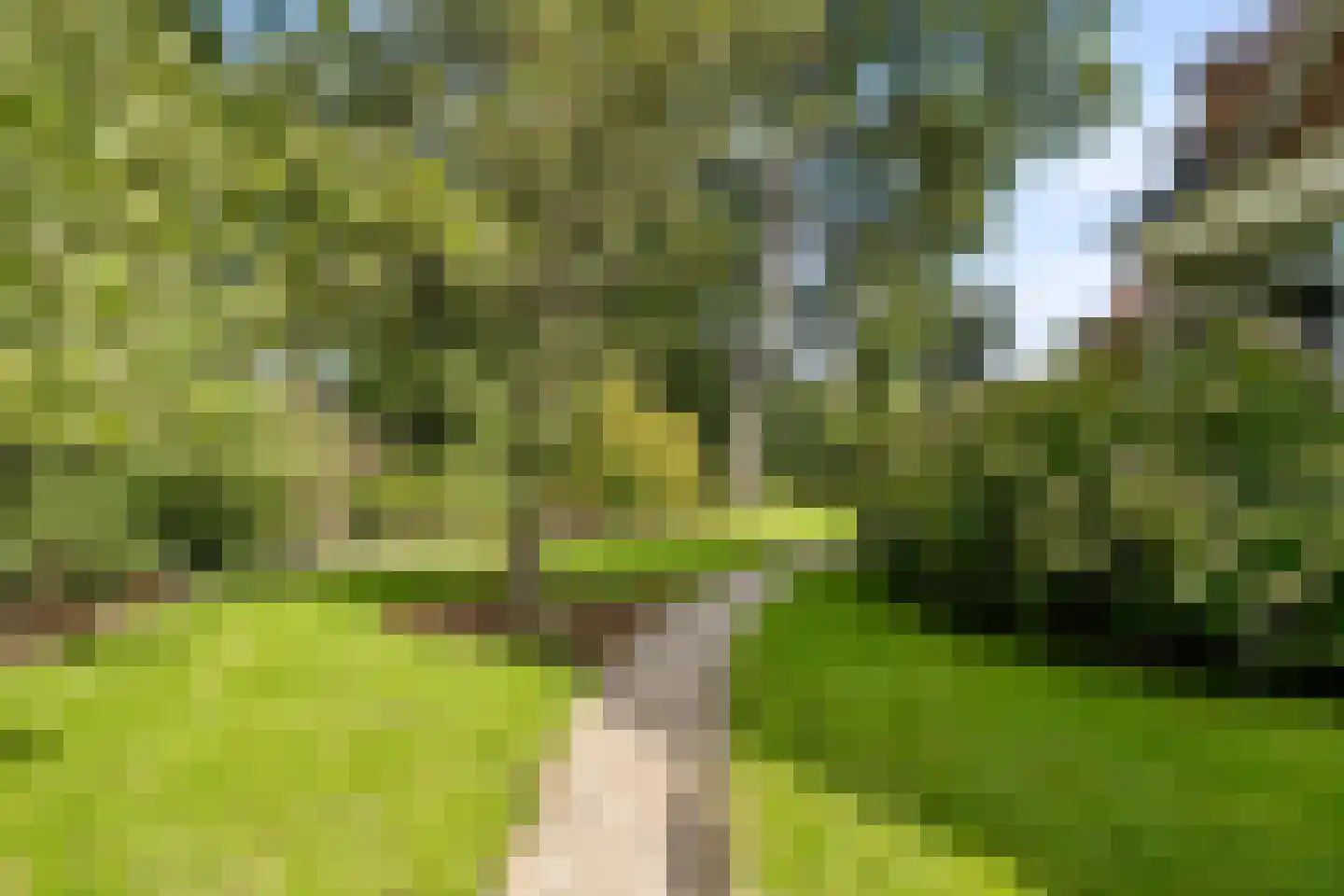 Oldenkotseweg 4 Rekken thumbnail 87