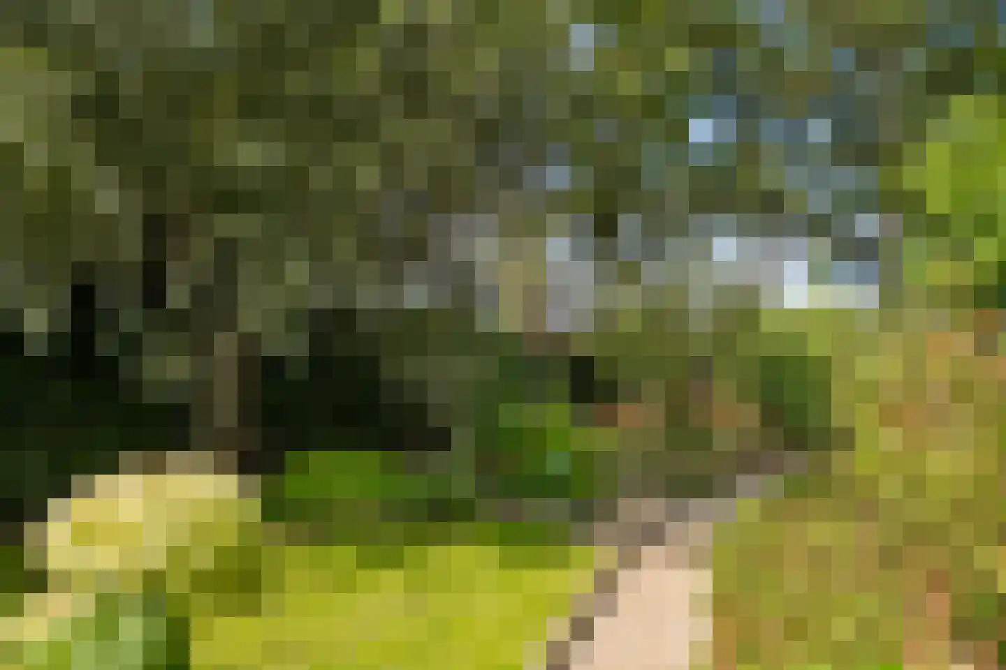 Oldenkotseweg 4 Rekken thumbnail 88