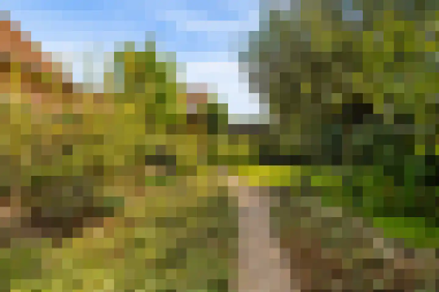 Oldenkotseweg 4 Rekken thumbnail 89