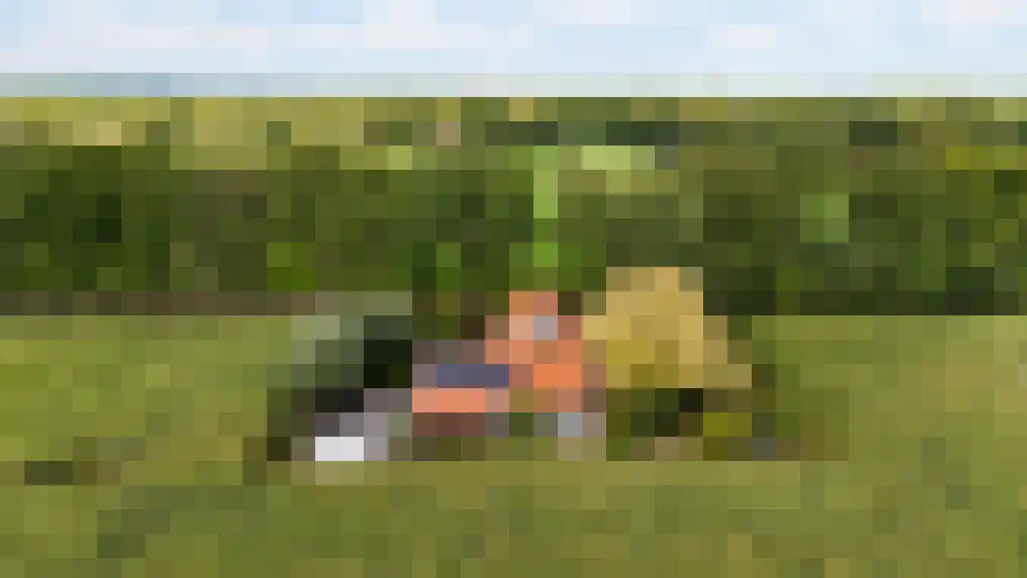 Oldenkotseweg 4 Rekken thumbnail 93