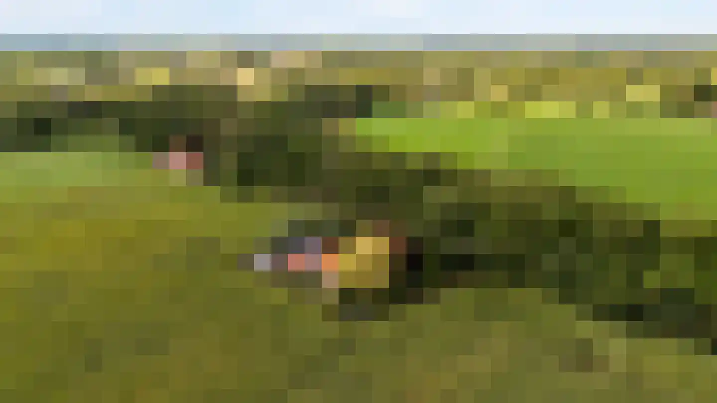 Oldenkotseweg 4 Rekken thumbnail 94