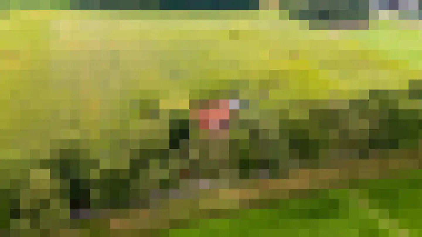 Oldenkotseweg 4 Rekken thumbnail 95