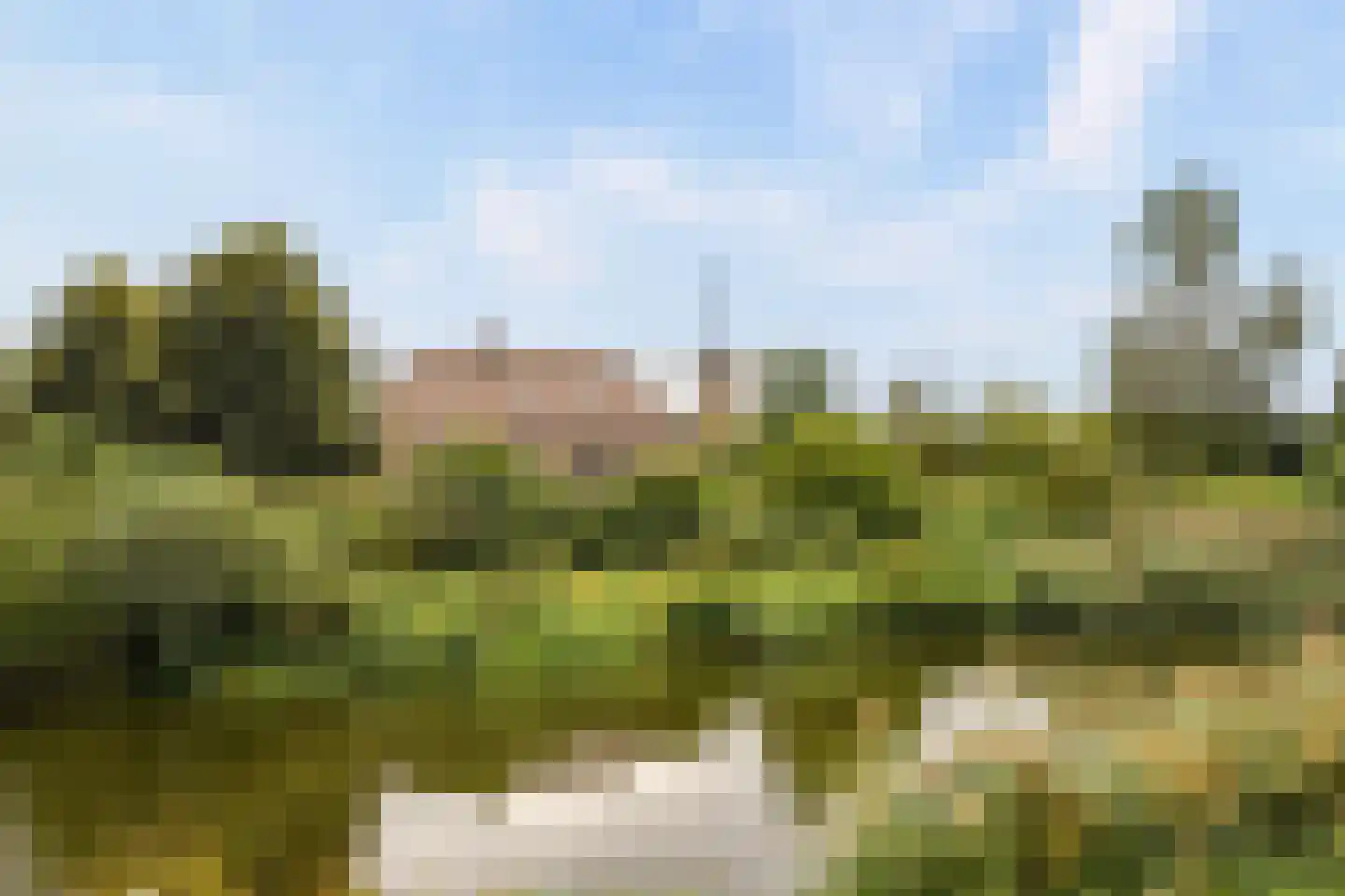 Oldenkotseweg 4 Rekken thumbnail 98
