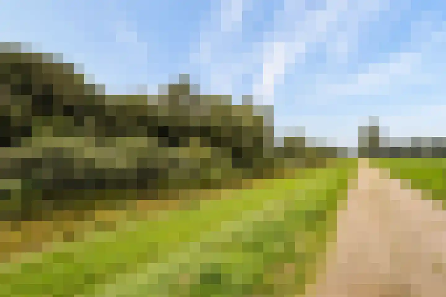 Oldenkotseweg 4 Rekken thumbnail 99