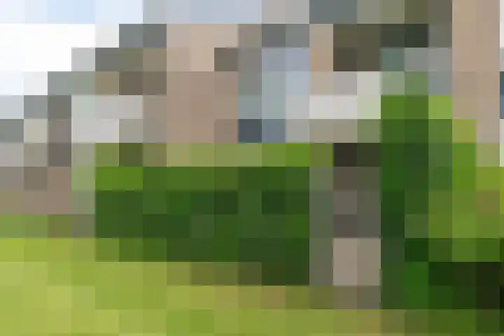 Oldenneelhof 15 Baarlo thumbnail 11