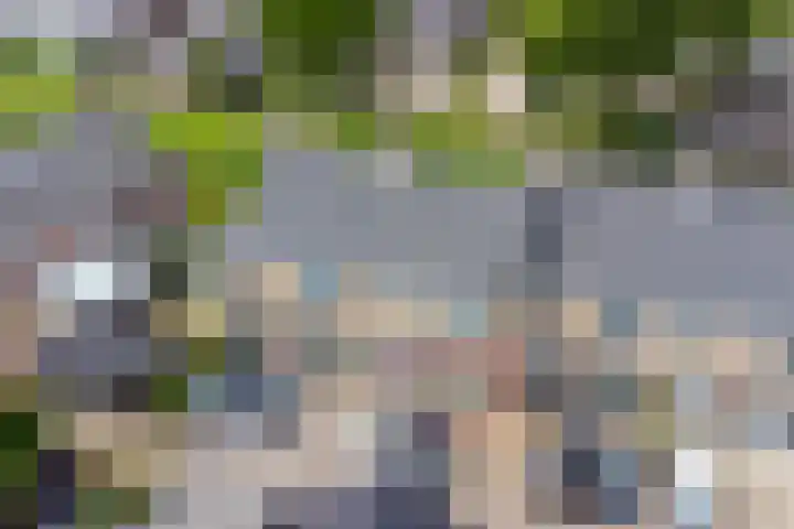 Oldenneelhof 15 Baarlo thumbnail 17