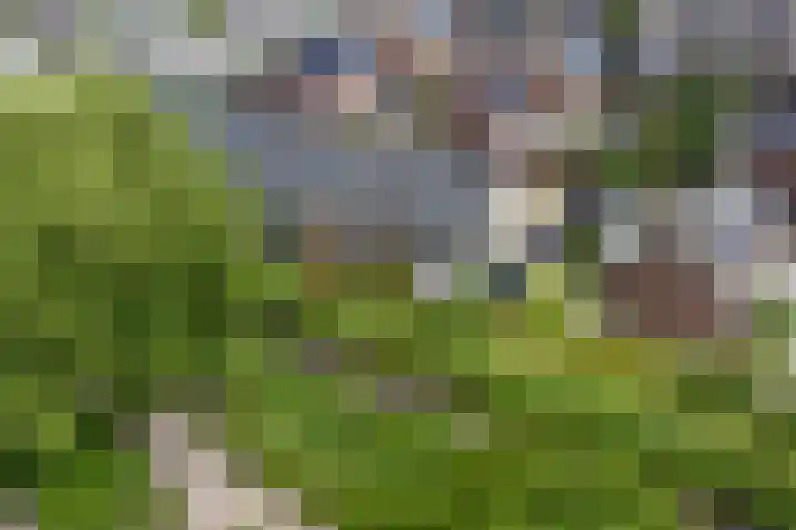 Oldenneelhof 15 Baarlo thumbnail 18