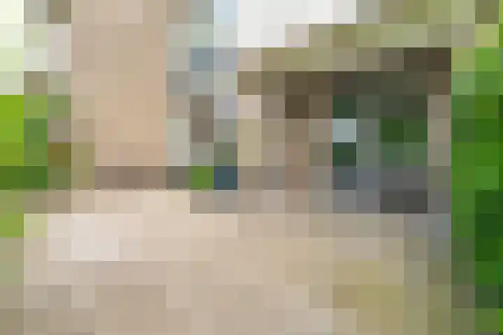 Oldenneelhof 15 Baarlo thumbnail 9
