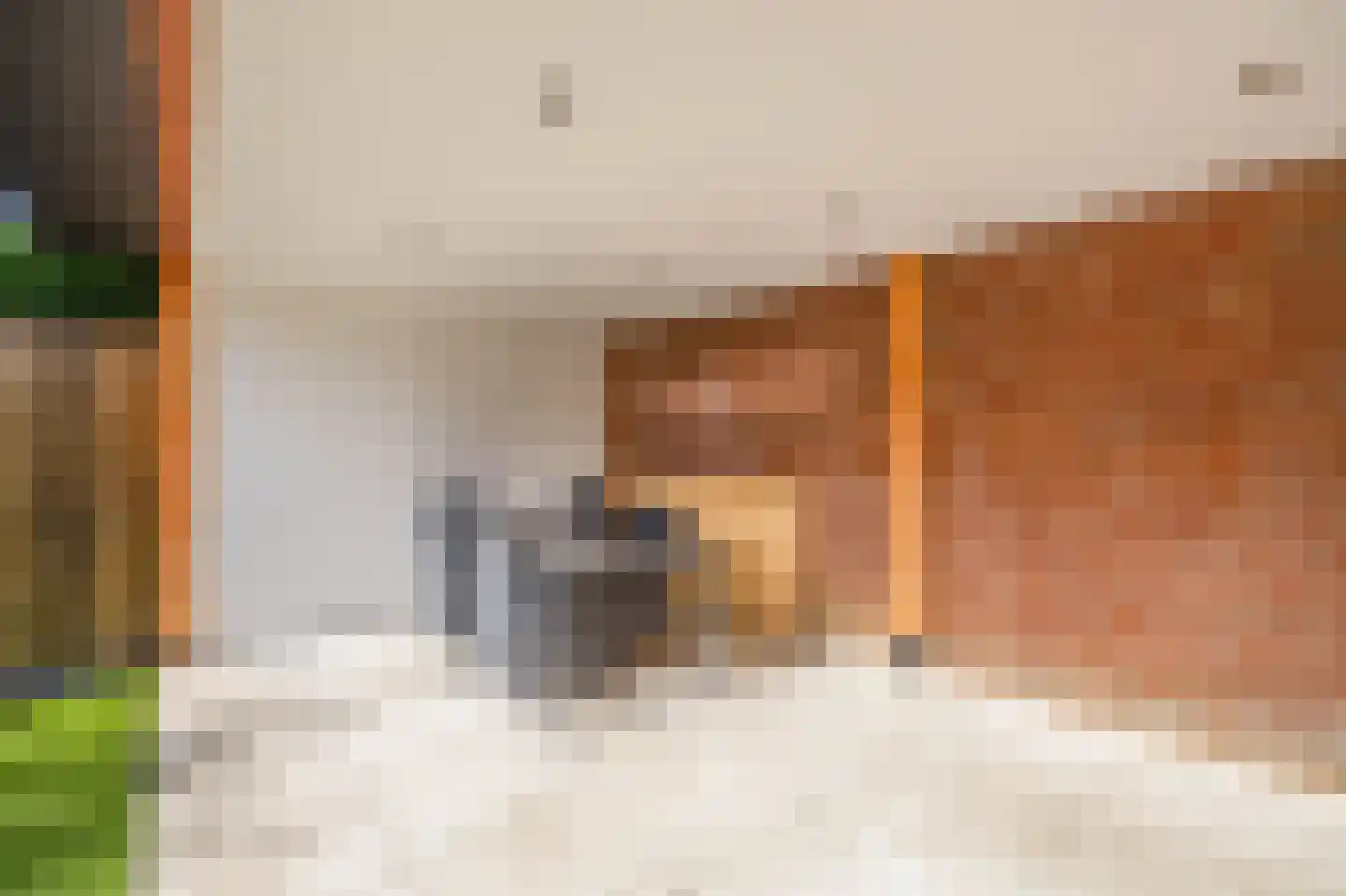 Oldenneelhof 3 Baarlo thumbnail 19