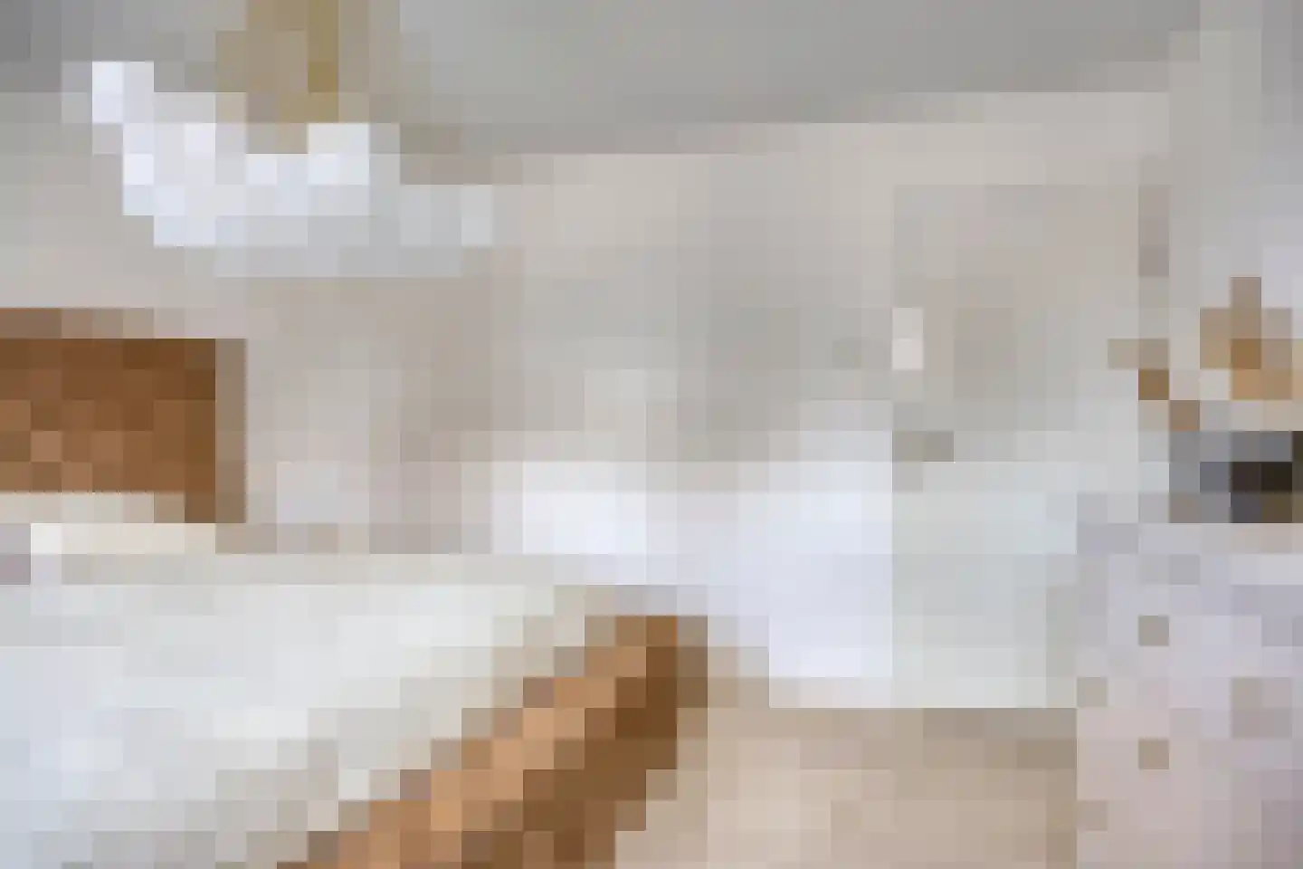 Oldenneelhof 3 Baarlo thumbnail 21