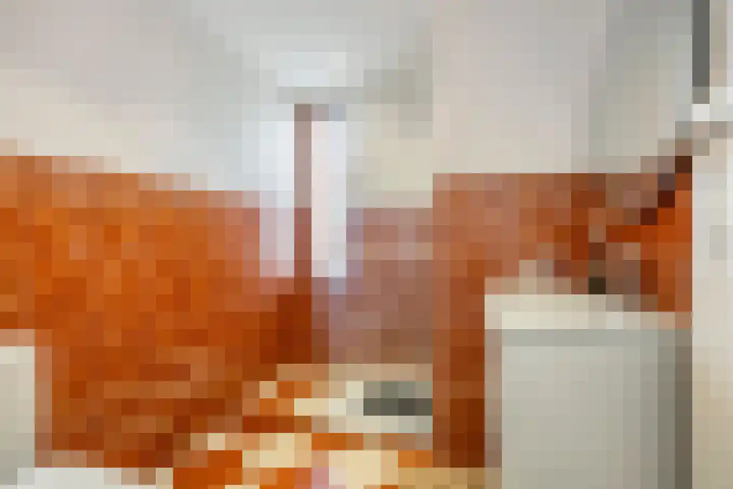 Oldenneelhof 3 Baarlo thumbnail 22