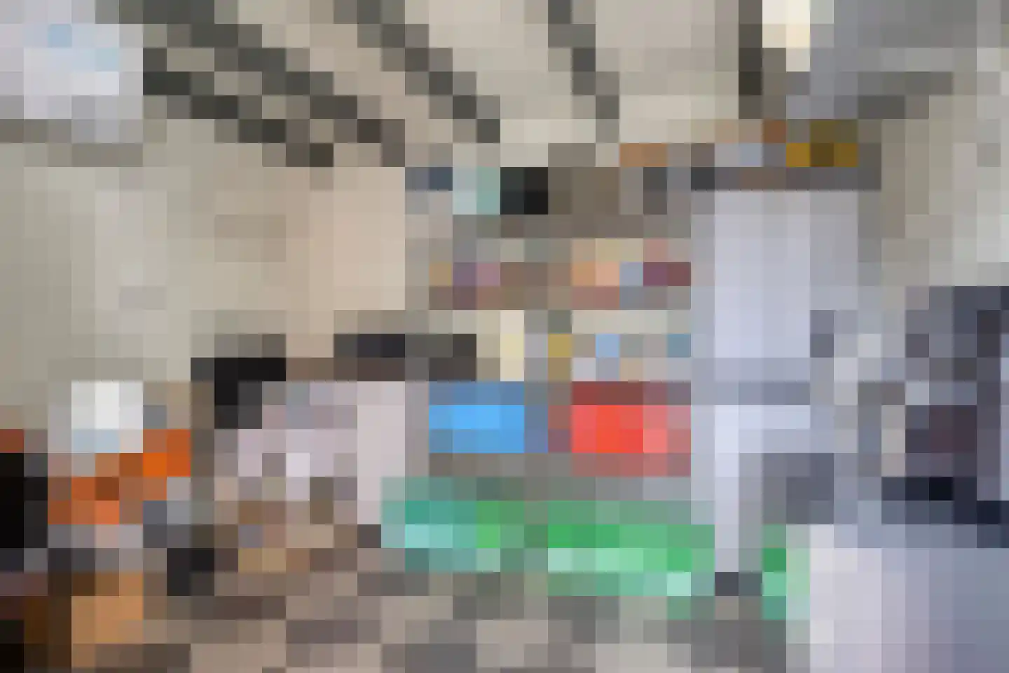 Oldenneelhof 3 Baarlo thumbnail 35