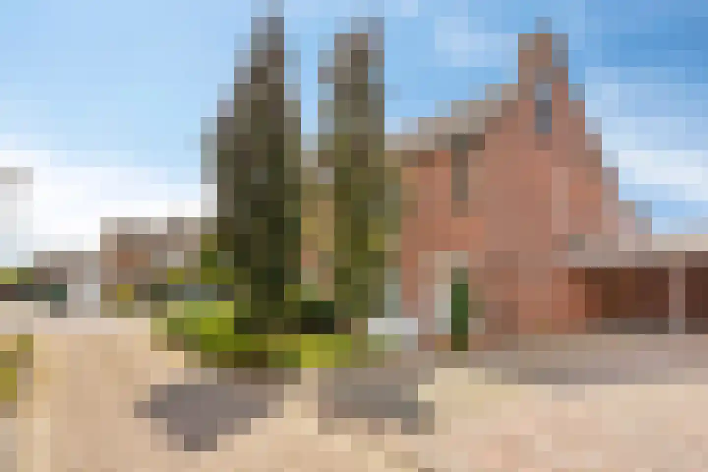 Oldenneelhof 3 Baarlo thumbnail 39