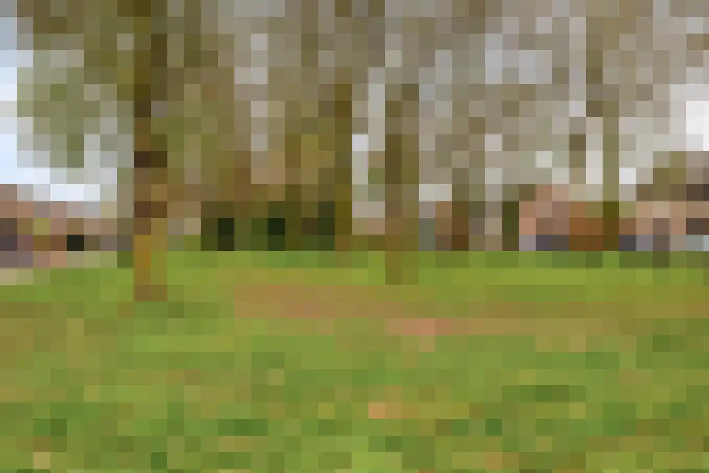 Oldenneelhof 3 Baarlo thumbnail 42