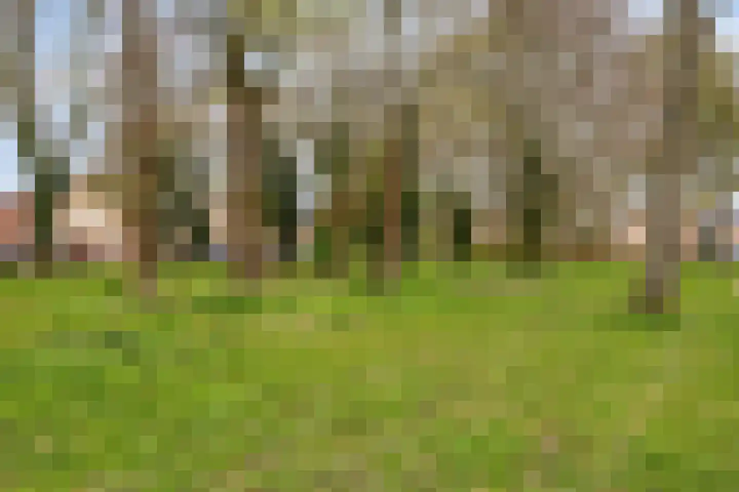 Oldenneelhof 3 Baarlo thumbnail 43