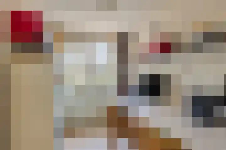 Oldenoert 84 Leek thumbnail 12