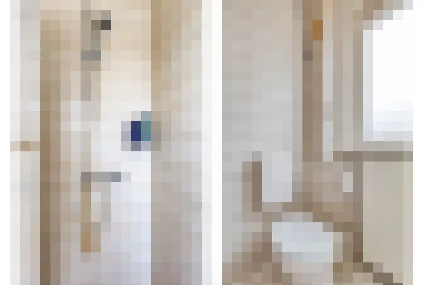 Oldenoert 84 Leek thumbnail 14
