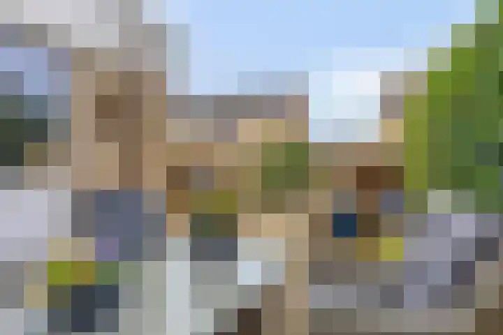 Oldenoert 84 Leek thumbnail 17