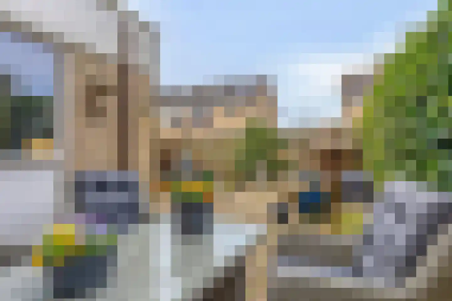 Oldenoert 84 Leek thumbnail 17