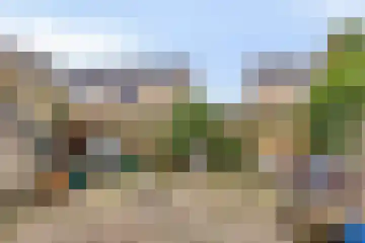 Oldenoert 84 Leek thumbnail 18