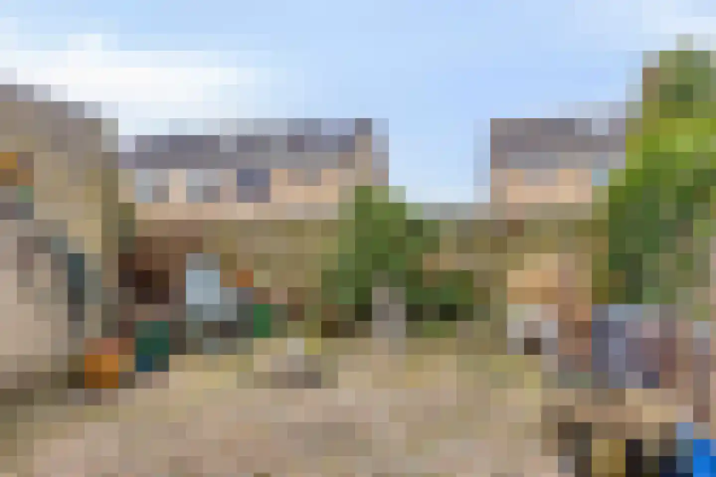 Oldenoert 84 Leek thumbnail 18