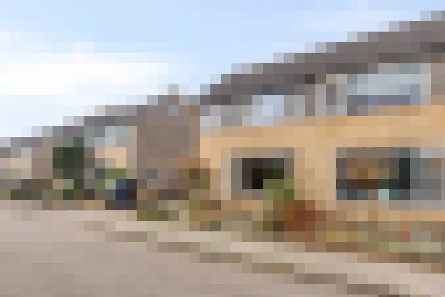 Oldenoert 84 Leek thumbnail 21