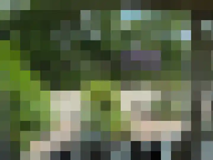 Oldenoert 84 Leek thumbnail 26