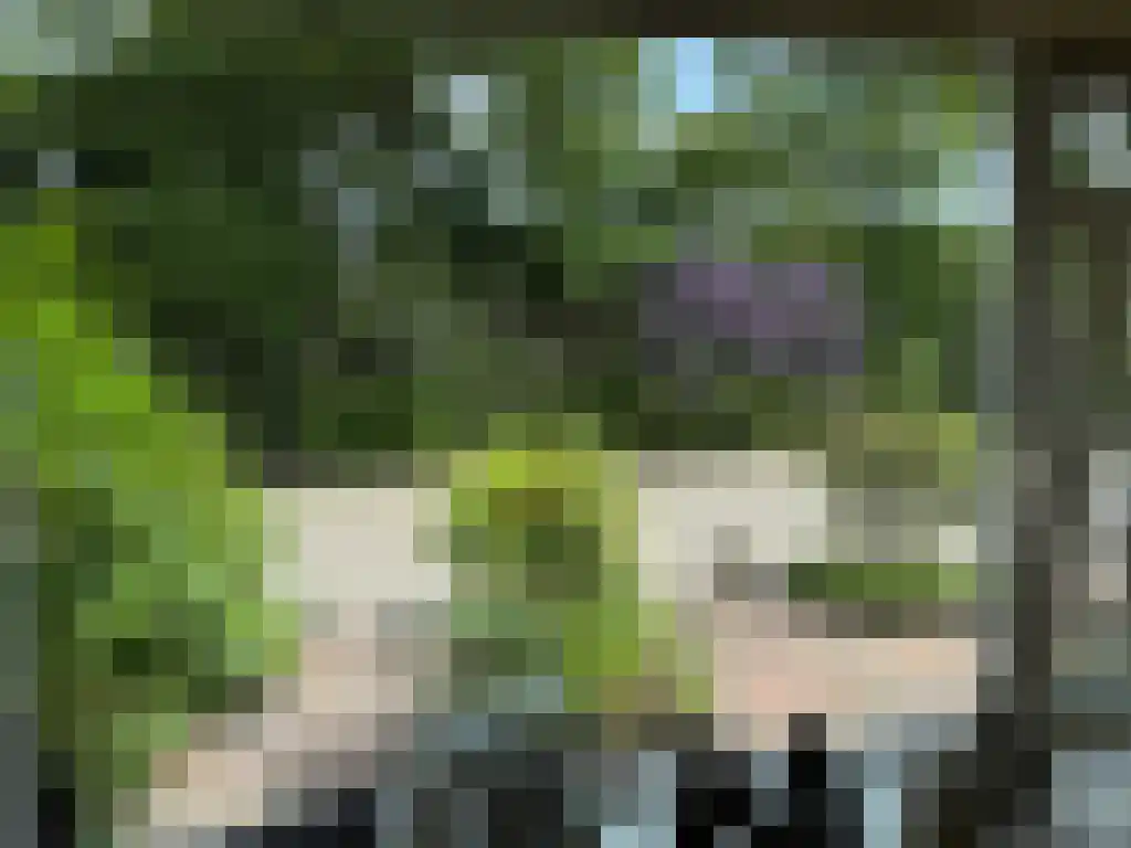 Oldenoert 84 Leek thumbnail 26