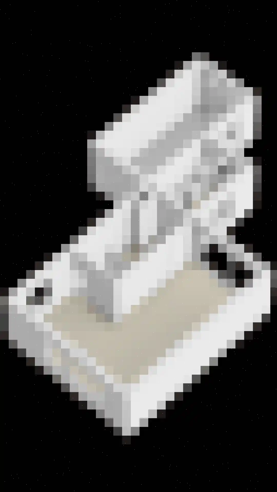 Oldenoert 84 Leek thumbnail 31