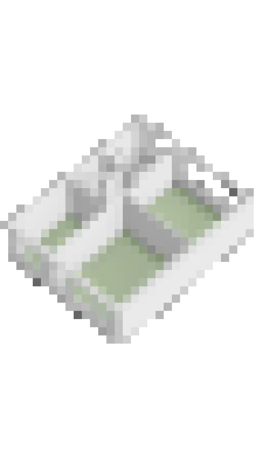 Oldenoert 84 Leek thumbnail 32