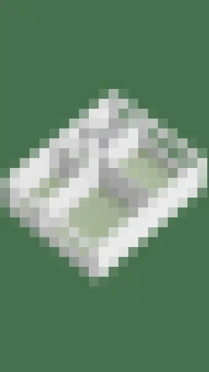 Oldenoert 84 Leek thumbnail 32
