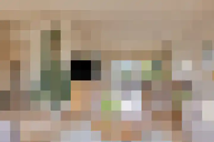 Oldenoert 84 Leek thumbnail 4