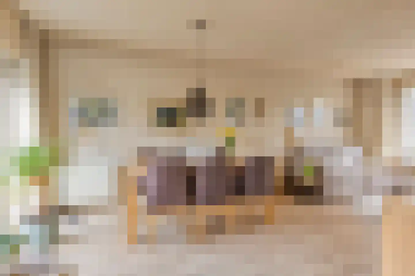Oldenoert 84 Leek thumbnail 6