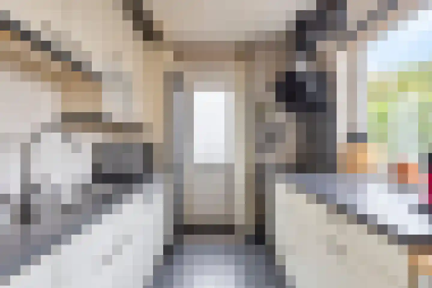 Oldenoert 84 Leek thumbnail 7