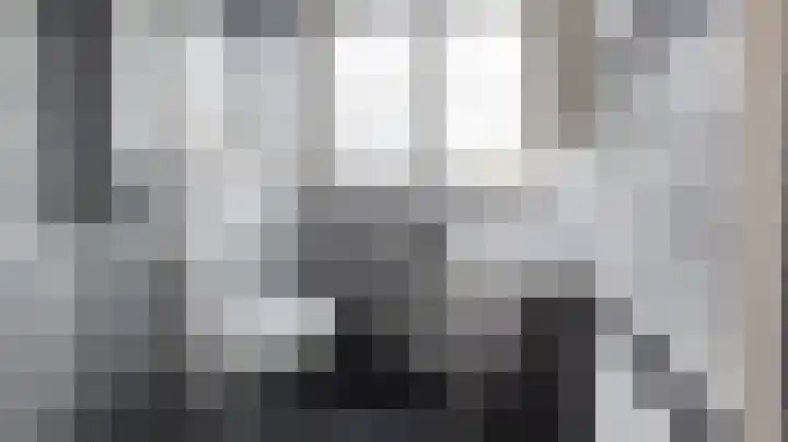 Oldenoert 96 Leek thumbnail 12