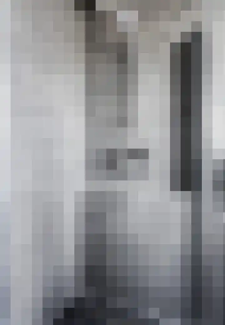 Oldenoert 96 Leek thumbnail 13