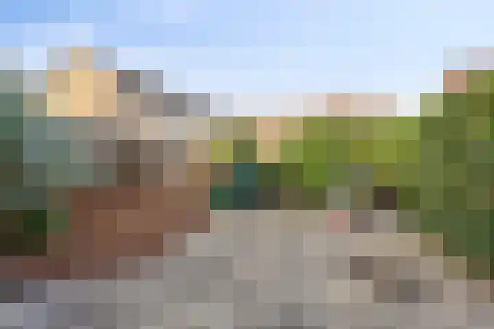 Oldenoert 96 Leek thumbnail 19