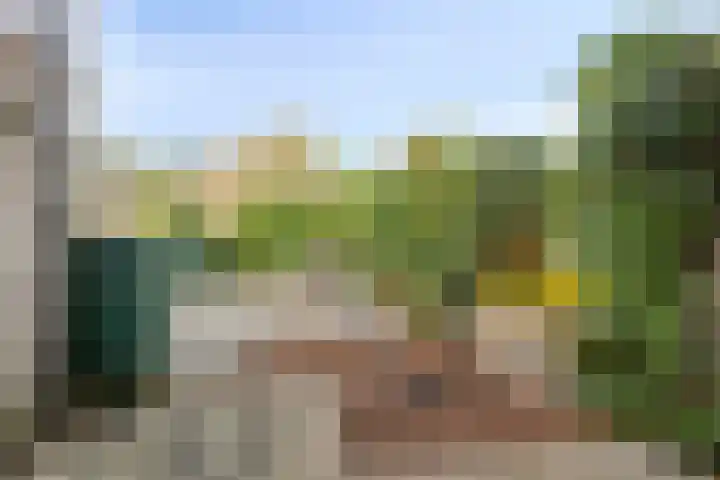 Oldenoert 96 Leek thumbnail 20