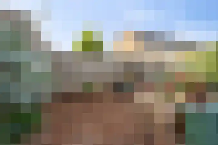 Oldenoert 96 Leek thumbnail 21