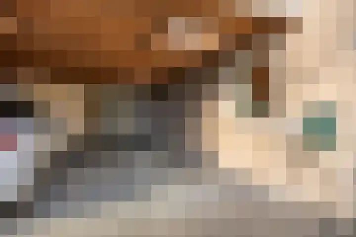 Oldenoert 96 Leek thumbnail 22