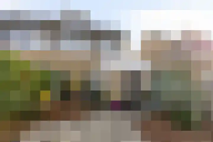 Oldenoert 96 Leek thumbnail 4