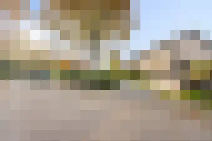 Oldenoert 96 Leek thumbnail 5